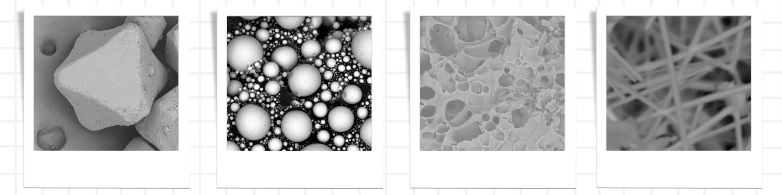 Basic SEM illustrative micrograph